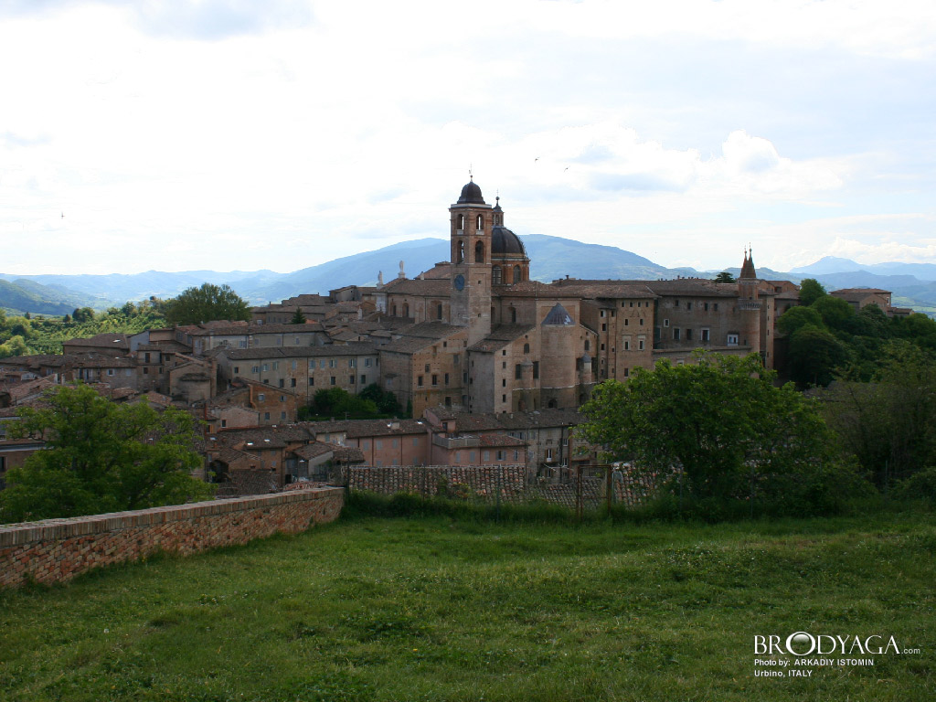 Urbino